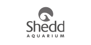 Shedd Aquarium